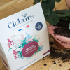 Terreau orchidées 2L