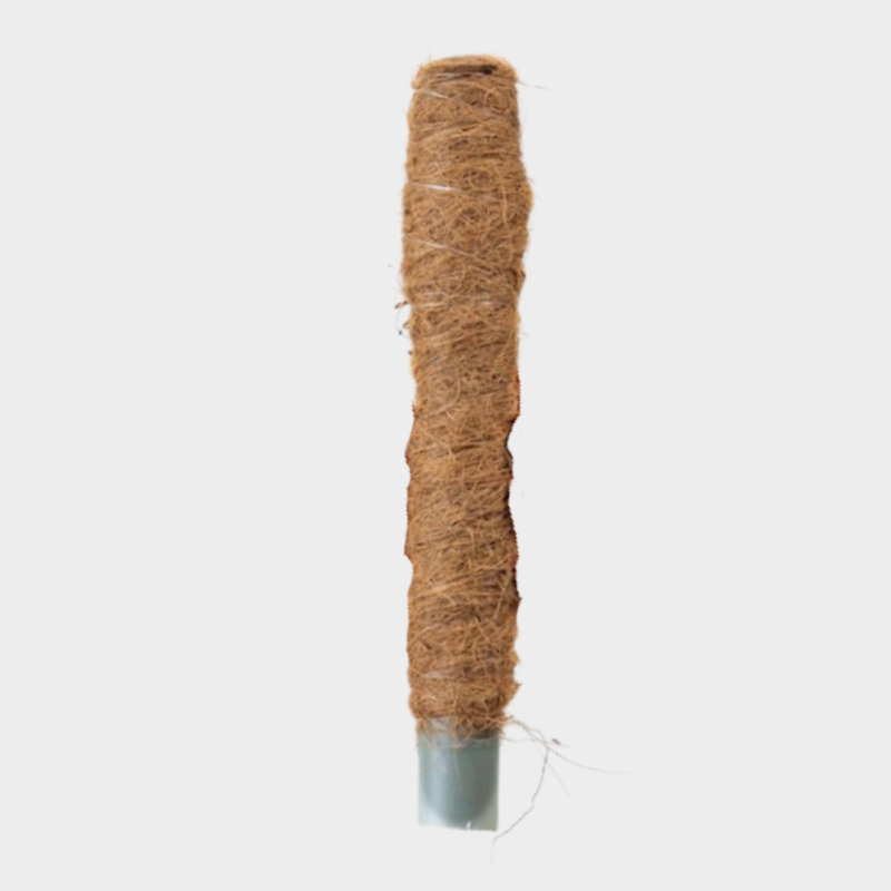 Tuteur en fibre de coco 80 cm