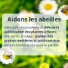 Kit Prêt à Pousser DIY Bombes de graines - Graines 100% biologiques