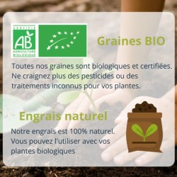 Kit Prêt à Pousser DIY Bombes de graines - Graines 100% biologiques