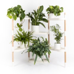 Etagères à plantes - 6 plateaux