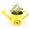 Mini Arrosoir jaune et Tournesol à semer
