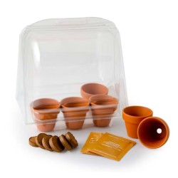 Mini serre 6 pots - Aromatique bio