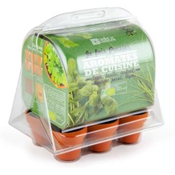 Mini serre 6 pots - Aromatique bio
