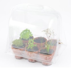 Mini serre 6 pots - Aromatique bio