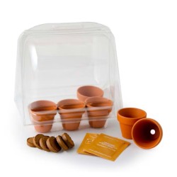 Mini serre 6 pots - Tomate bio
