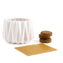 Pot origami - Basilic citron