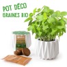 Pot origami - Basilic citron
