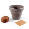 Pot Terre cuite 13cm - Tomate cerise bio