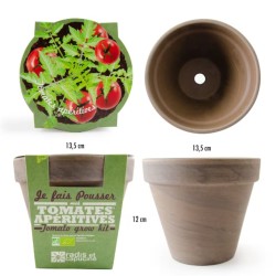 Pot Terre cuite 13cm - Tomate cerise bio