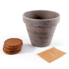 Pot Terre cuite 13cm - Basilic BIO