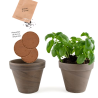 Pot Terre cuite 13cm - Basilic BIO