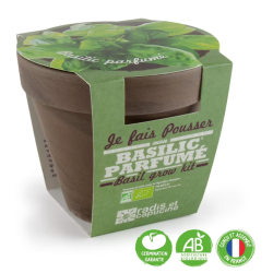 Pot Terre cuite 13cm - Basilic BIO