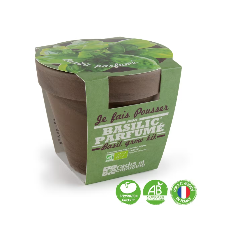 Pot Terre cuite 13cm - Basilic BIO