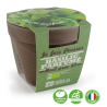 Pot Terre cuite 13cm - Basilic BIO