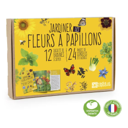 Coffret 12 sachets - Fleurs à papillons