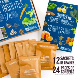Coffret 12 sachets légumes insolites