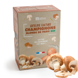 Kit de culture champignons de Paris BIO
