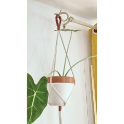 Suspension pour plante - Vert Sauge