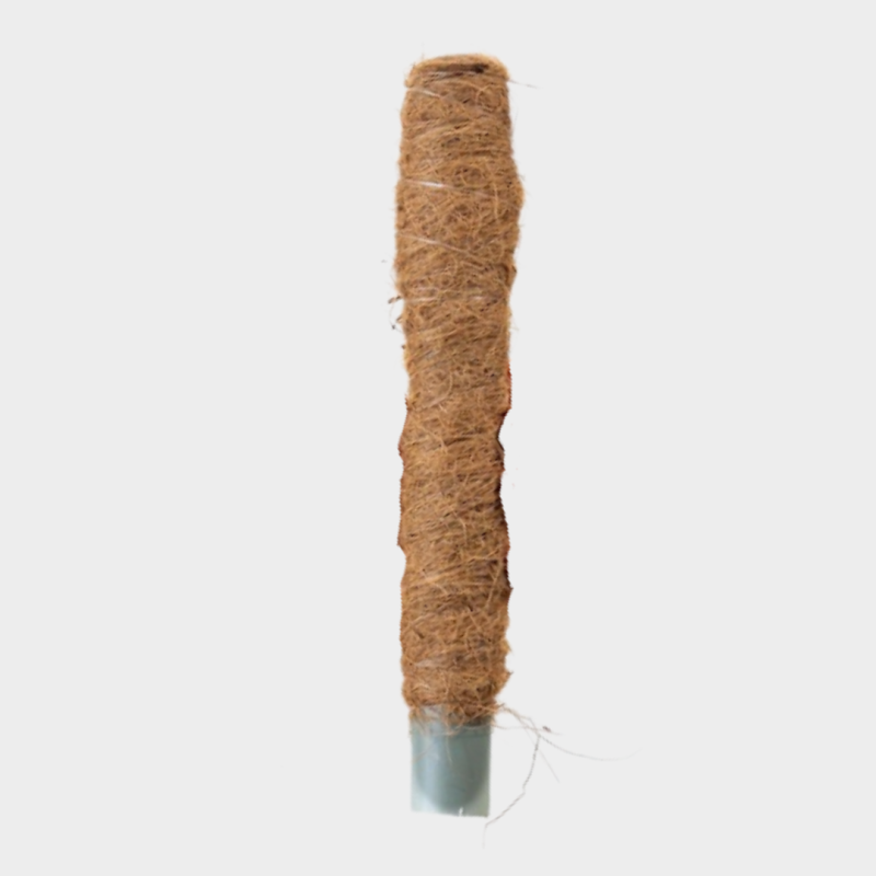 Tuteur en fibre de coco 50 cm
