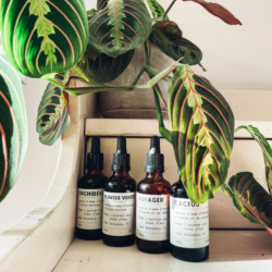 Engrais liquide - Cactus - 50ml