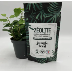 Zéolite pure 50g