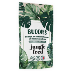 Mini Buddies 1-3 plantes