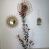 Photinia 110-130cm