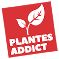 Plantes Addict