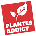 Plantes Addict, la nature vient à vous