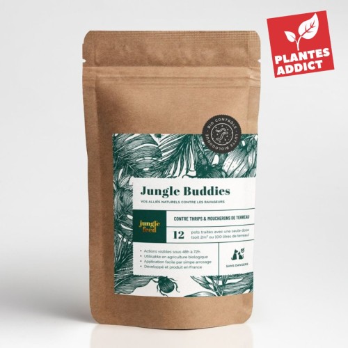Jungle Buddies - Anti Thrips et moucherons