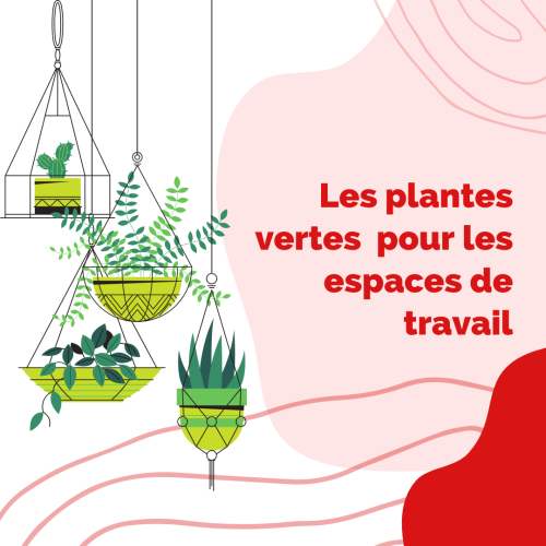 Les plantes vertes ont de nombreux avantages pour les espaces de travail