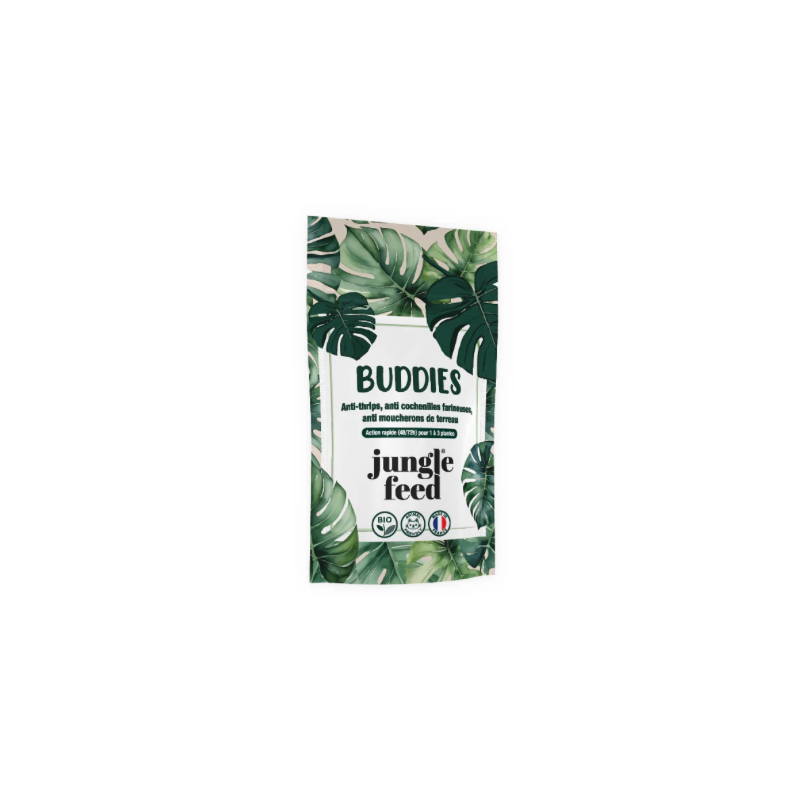 Mini Buddies 1-3 plantes