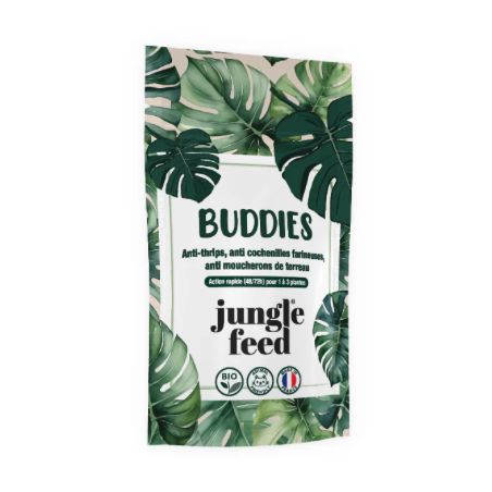 Mini Buddies 1-3 plantes Mini Buddies 1-3 plantes