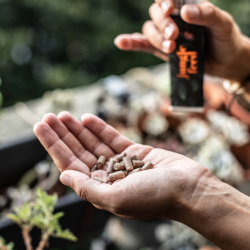 Jungle feed Kit 5 + 1 offert