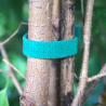 Ruban accroche plante 2m
