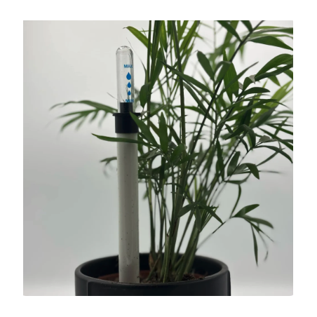 Sonde d'humidité