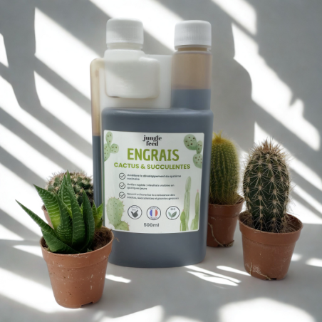 Engrais cactus & succulentes - 500 ml