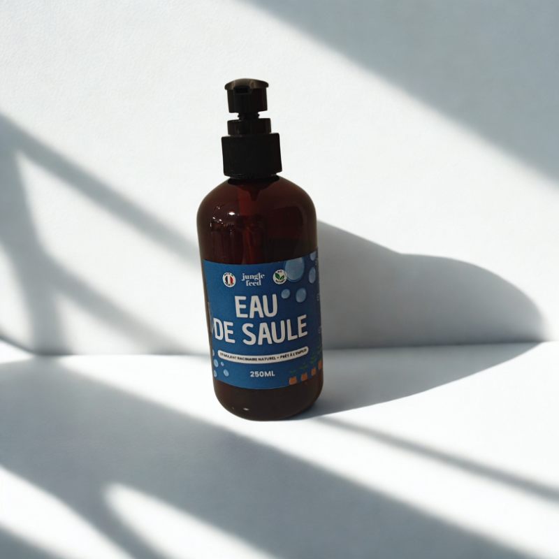Eau de Saule Naturelle – 250 ml