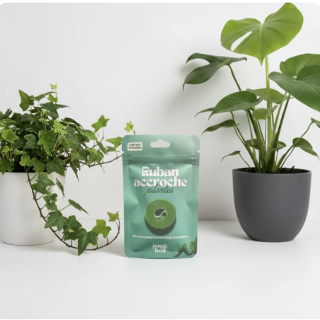 Ruban accroche plante 2m