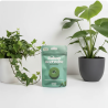 Ruban accroche plante 2m