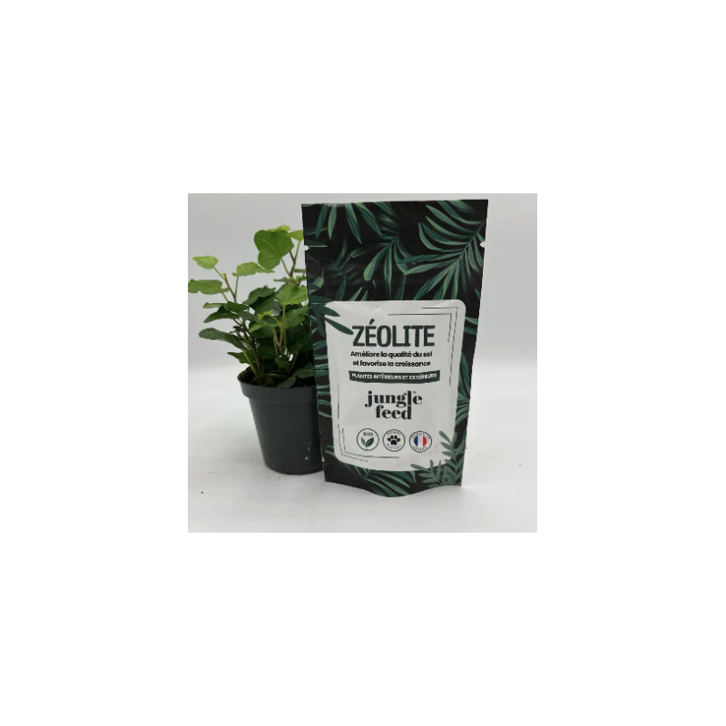 Zéolite pure 50g