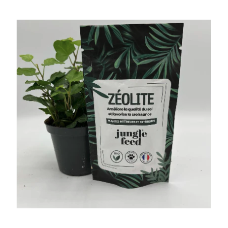 Zéolite pure 50g Zéolite pure 50g