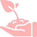 Plantes de qualités